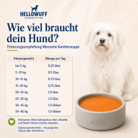 Morosche Karottensuppe
