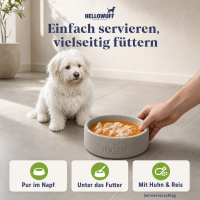 Morosche Karottensuppe