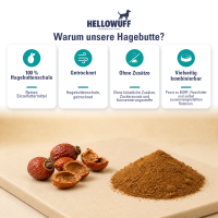 Hagebutte